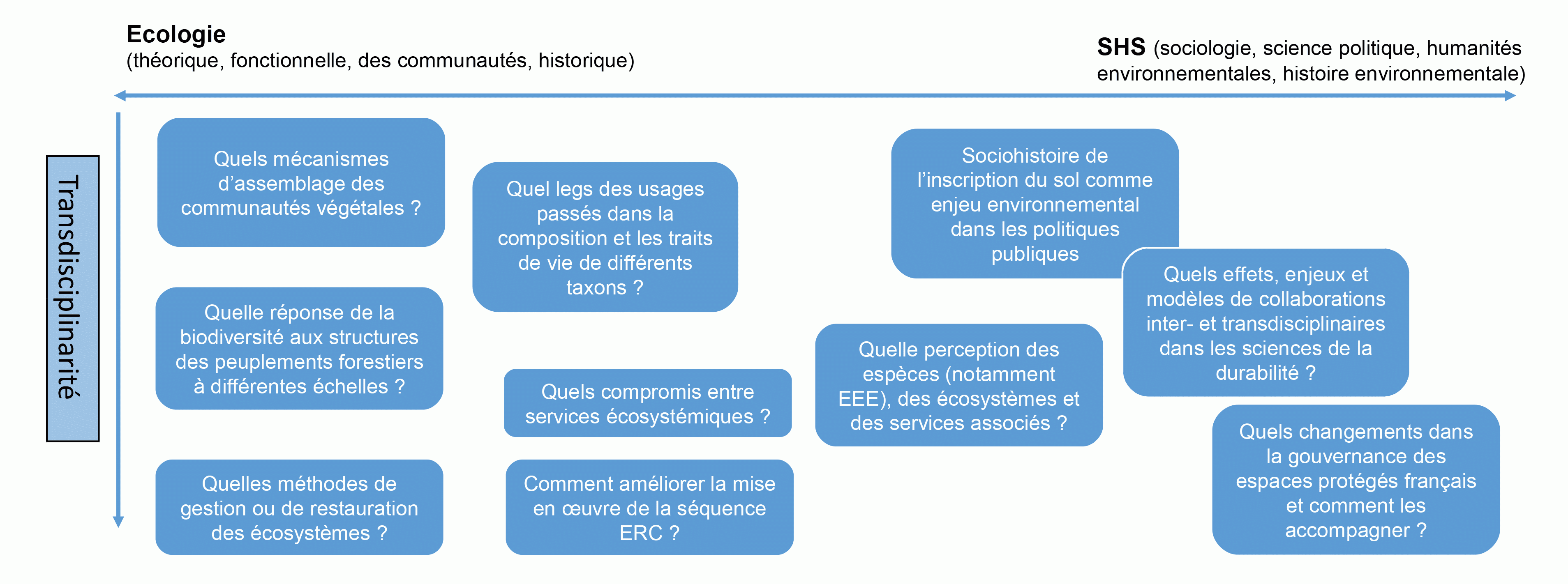 Schema-Q-Rech-BIOSES