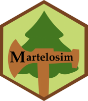 Plateforme_logo_Martelosim Plateforme_logo_Martelosim